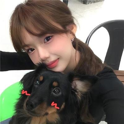 快乐的小鸡
