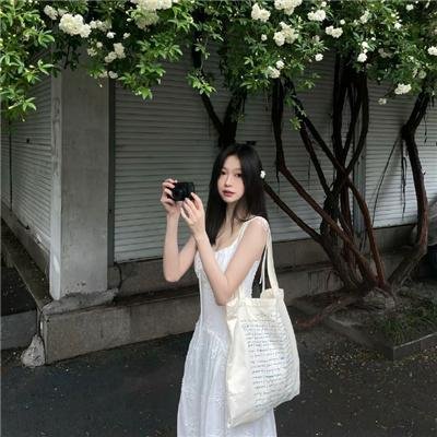 花落莺啼春